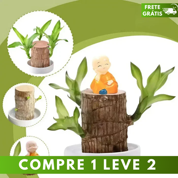 Planta Madeira Brasileira Sorte [COMPRE 1 LEVE 2]